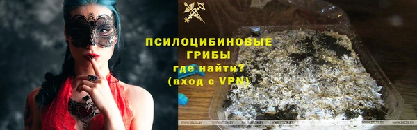 PSILOCYBIN Аркадак