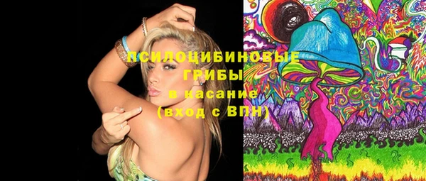 ПСИЛОЦИБИНОВЫЕ ГРИБЫ Балабаново