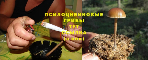 бошки Армянск