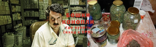ПСИЛОЦИБИНОВЫЕ ГРИБЫ Балабаново