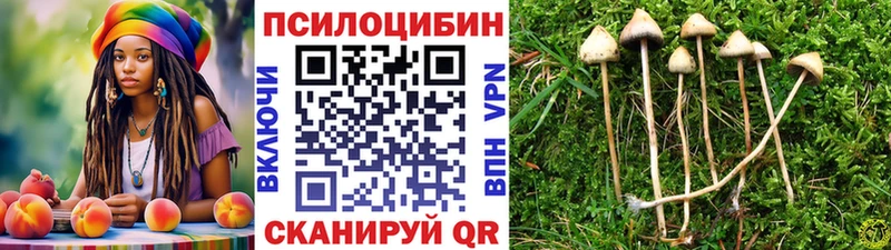 Псилоцибиновые грибы ЛСД  Медвежьегорск 